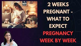 2 Weeks Pregnant   What to Expect | Pregnancy Week by Week | By Mommy Talkies