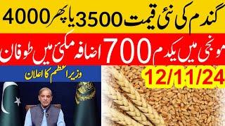 Big گندم میں اچانک اضافہ  Wheat price in punjab/گندم  کا ریٹ 2024/ makki till sarso/Gallasuper munji