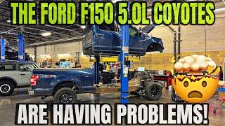 Ford F150 5.0L V8 Coyote Having Issues Too??? Find Out What Happened Here!