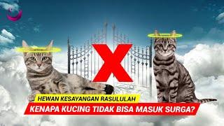 MENYEDIHKAN! TERNYATA INI ALASAN KUCING TIDAK BISA MASUK SURGA!