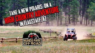 Rent A New Polaris UTV in Flagstaff. Ride Through High Country Pines & Enjoy the View #ATVFlagstaff