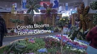 Landscape Ontario Fusion Garden at Canada Blooms 2018