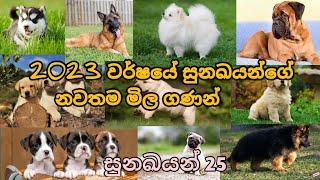 Dogs price in sri lanka ||True Price For Best 25  Dog Breeds In sri lanka || New price 2023