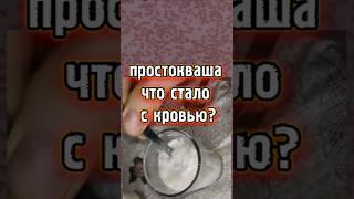 домашняя простокваша, что стало с кровью?