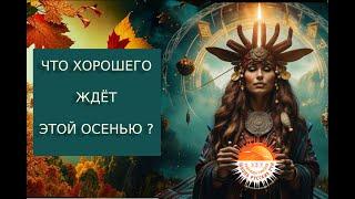 Русские руны, гадание: Что нас ждет осенью 2024? Предсказание на осень 2024 | русская руна Оболочка