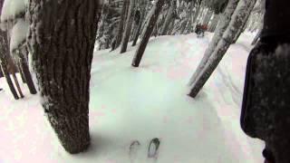 Cat Skiing on Powder Mountain