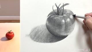 Still Life #30 - How to Draw a Tomato for Beginners