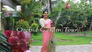 Orchids : Part 1  Orchid garden tour