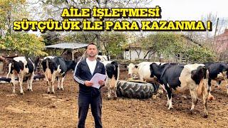 10 İNEKLİ AİLE İŞLETMESİ AYLIK NE KADAR PARA KAZANDIRIR !