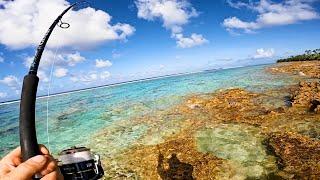 Camp and Fish on a Tropical Island