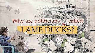 Why are politicians called lame ducks?