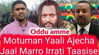 OMN: ODDU AMME - Motuman Yaali Ajeycha Jaal Marro Irrati Taasise || ሰበር ዜና || ODDU RIFASISA