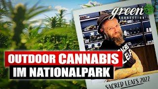 Outdoor Cannabis im Nationalpark 2022 | GreenConnection x Sacred Leafs pt. 2