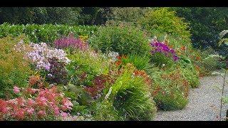 Our Herbaceous Border