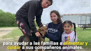 Estos animales necesitan de tu ayuda durante la pandemia