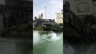 Popsicle jumping High diving is risky, please do not imitate Dangerous actions, please do not im