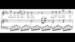 Una furtiva lagrima (L'elisir d'amore - G. Donizetti) Score Animation