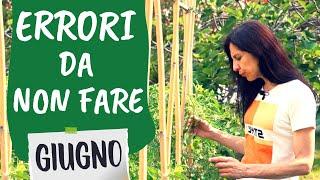 ORTO di GIUGNO: 5 errori da evitare