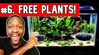 6 Tips That Make Planted Aquariums EASY!