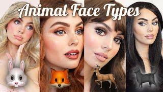 Find YOUR Animal Face Type & Best Makeup Look  ‍⬛   jackie wyers