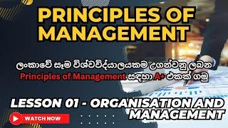 Principles of Management. Lesson 01   Organization and Management