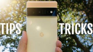 Google Pixel 6 Pro Camera Tips and Tricks