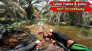 CASTING GABUS|RAWA AIR HITAM SEPERTI INI YANG BANYAK DI HUNI IKAN GABUS|DAIWA|ABU GARCIA