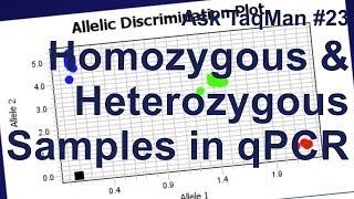 Homozygous vs. Heterozygous Samples in qPCR -- Ask TaqMan #23