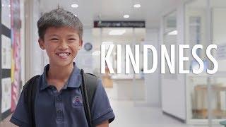 Ready, Steady, Patana: What Is Kindness?