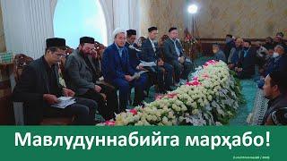 Mavlud sharif 2020 | Мавлуд шариф 2020