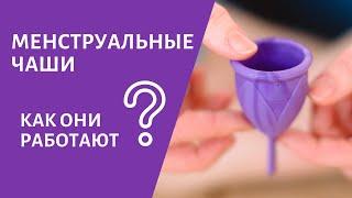 Как работает менструальная чаша?