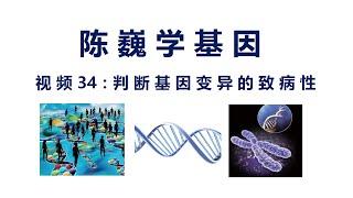 【陈巍学基因】视频34：判断基因变异的致病性