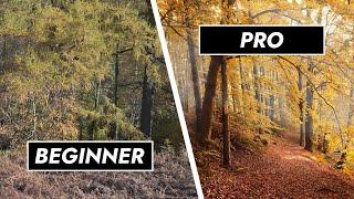 10 Quick Pro Tips for Autumn Photography 