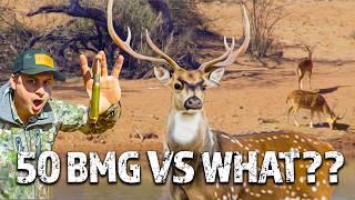 .50 BMG vs. Air Gun | CRAZY Exotic Hunt in Texas! [Part 1]