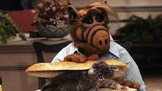 #alf ATTEMPTS TO EAT A CAT Alf, Gordon Shumway, Alf eat cats