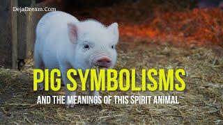 Pig Symbolisms And The Meanings Of This Spirit Animal