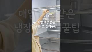 매일 새것같은 #냉장고정리 꿀팁