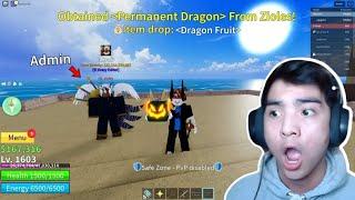 ADMIN ZIOLES GAVE ME DRAGON FRUIT IN BLOX FRUITS!