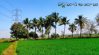 పల్లెటూరి అందాలు || beautiful village atmosphere