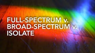 Full-Spectrum vs Broad-Spectrum vs Isolate CBD | What Is The Difference?