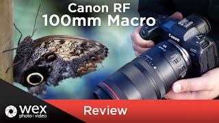 Canon RF 100mm f2.8 Macro Lens | Review