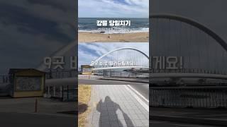 강릉 당일치기 코스 9곳 추천지!  (강문해변.ver) #강릉당일치기 #강릉여행