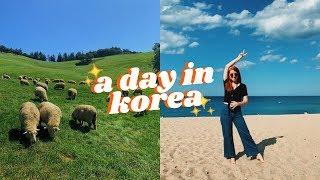 Day Trip to Pyeongchang and Gangneung | Outside of Seoul, Korea VLOG