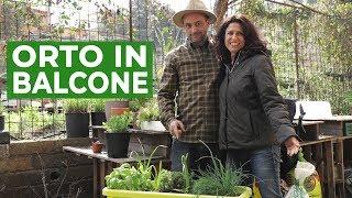 FARE L'ORTO SUL BALCONE | FAI DA TE