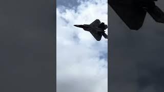 F-22 Raptor Low and high speed flypast