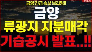 금양 "속보, 류광지 회장 지분 매각" 기습공시 발표..!! 금양 긴급 속보 브리핑!!