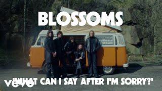 Blossoms - What Can I Say After I'm Sorry?
