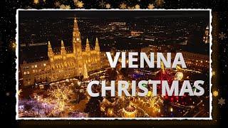 Christmas Magic in Vienna: Markets, Lights, and Hidden Gems