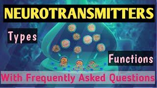 What is Neurotransmitter |Its Types & Function in Axon & synapse,acetylcholine glutamate epinephrine