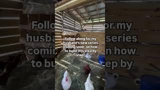 Hacks To Building the Perfect Chicken Coop!